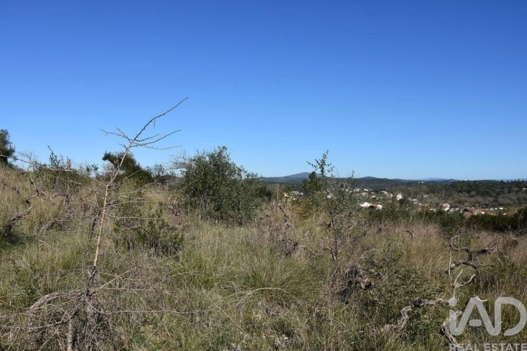 Terreno para Venda em Chãos Foto 17