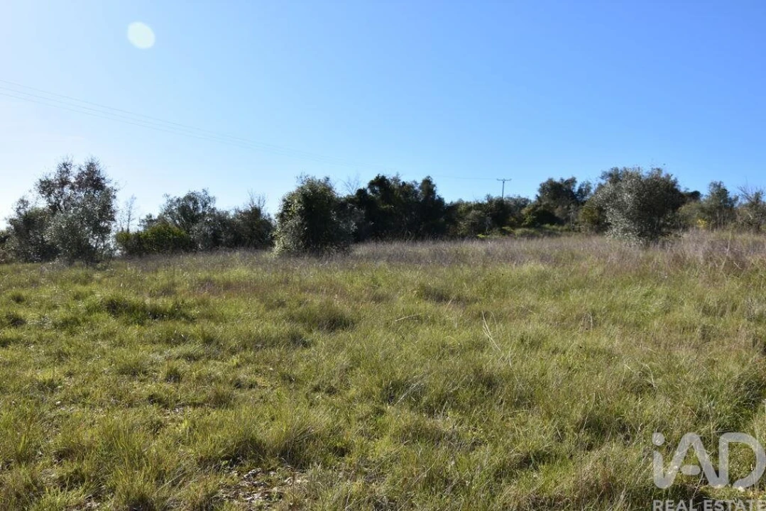 Terreno para Venda em Chãos Foto 26
