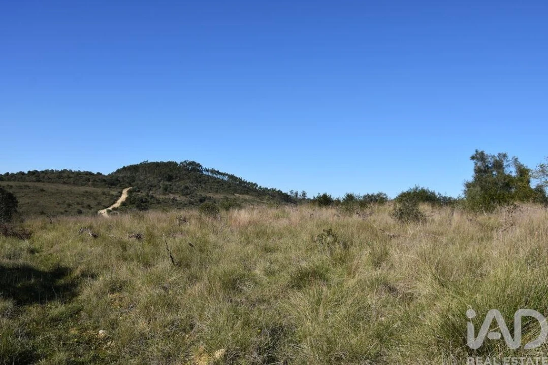 Terreno para Venda em Chãos Foto 4