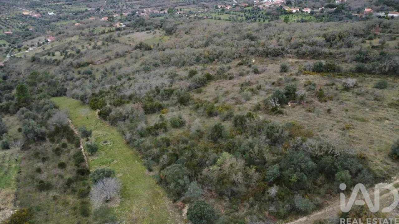 Terreno para Venda em Chãos Foto 7