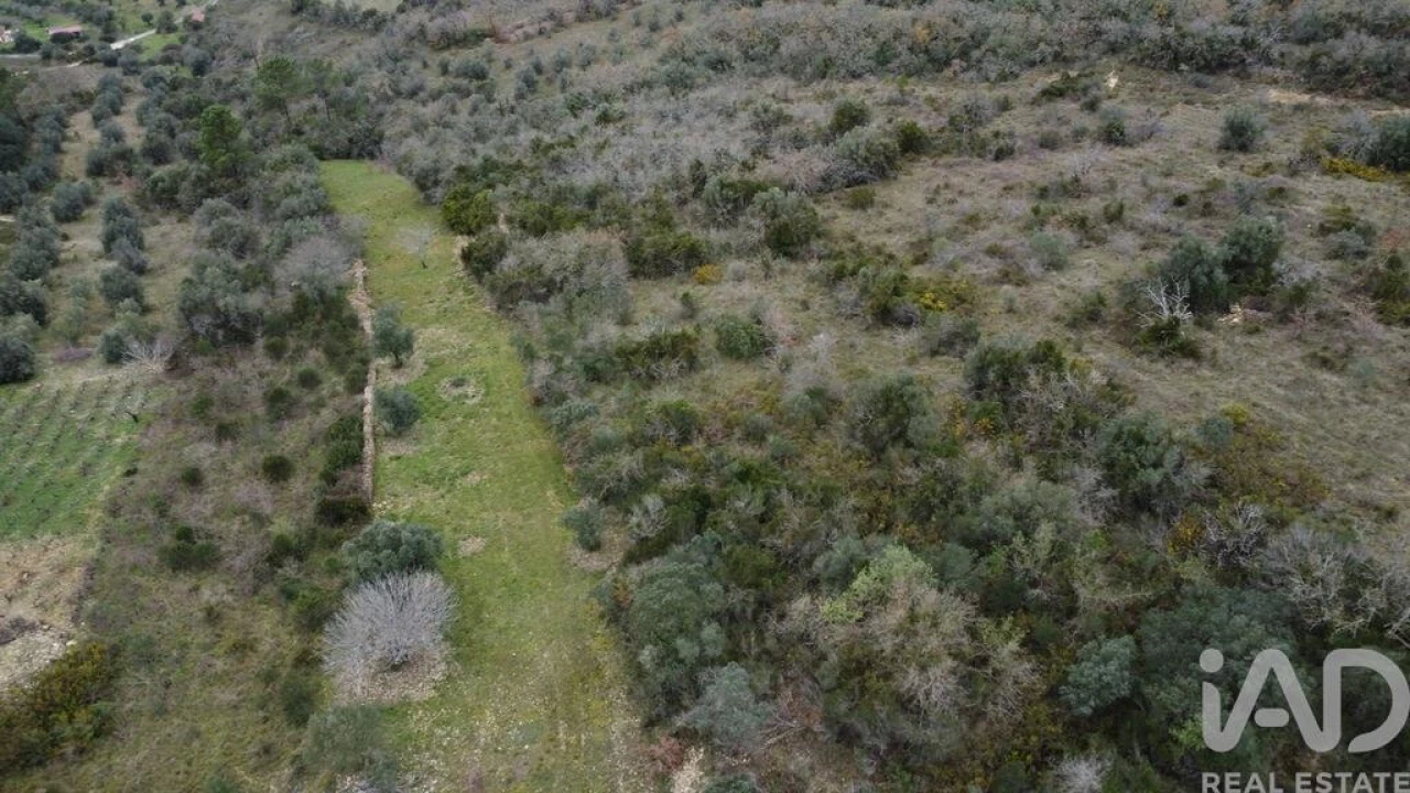 Terreno para Venda em Chãos Foto 8