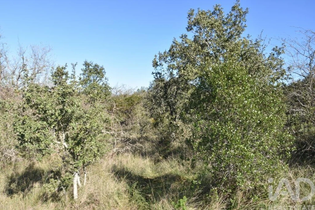 Terreno para Venda em Chãos Foto 22