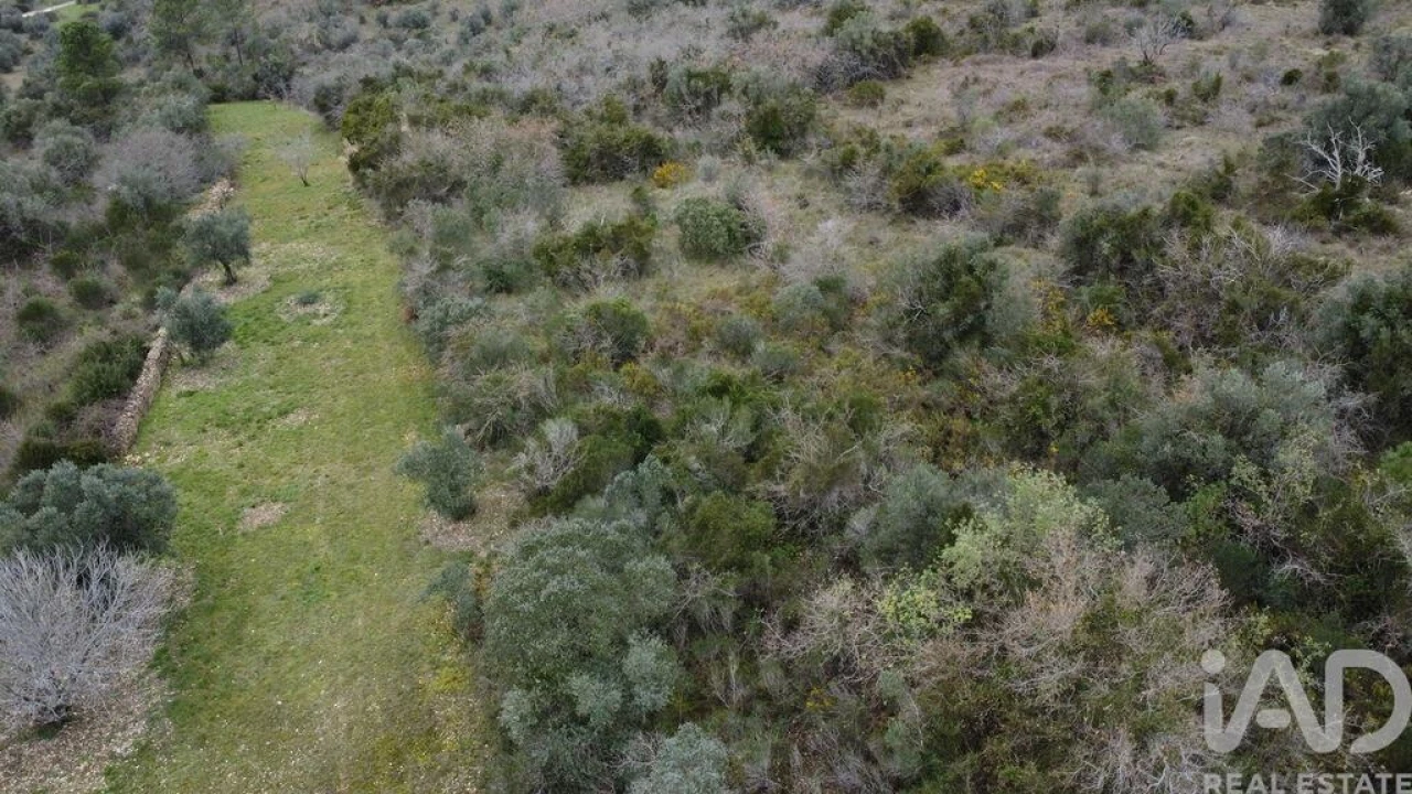 Terreno para Venda em Chãos Foto 12