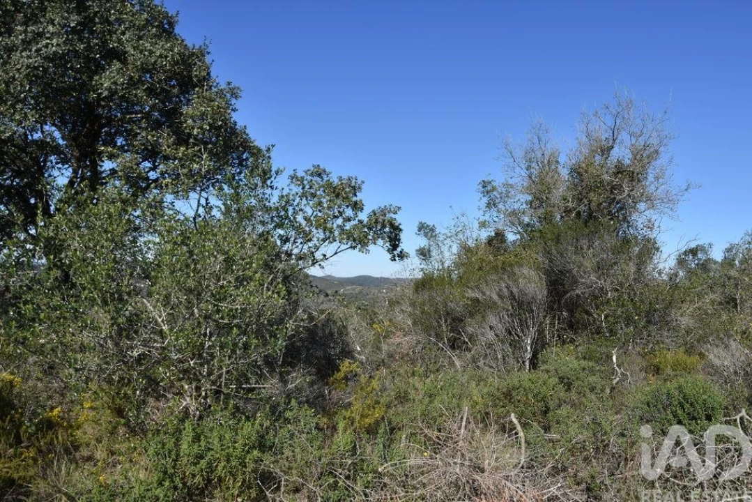 Terreno para Venda em Chãos Foto 17