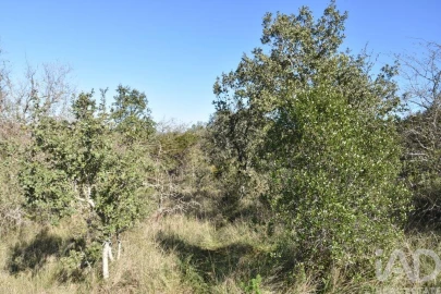 Terreno para Venda em Chãos