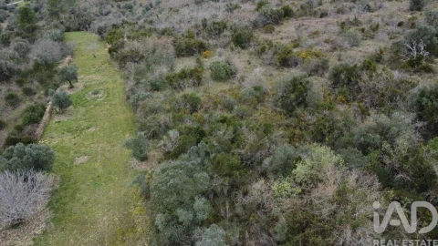 Terreno para Venda em Chãos