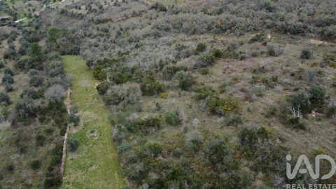 Terreno para Venda em Chãos