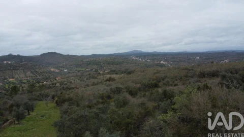 Terreno para Venda em Chãos