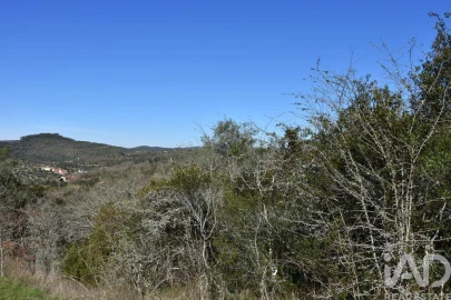 Terreno para Venda em Chãos