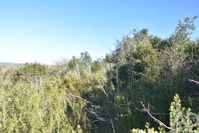 Terreno para Venda em Chãos