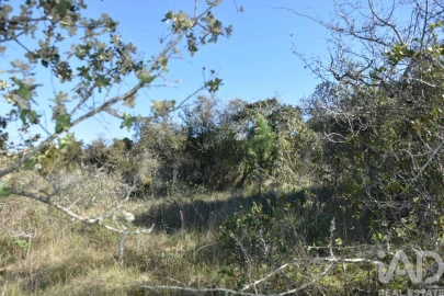 Terreno para Venda em Chãos