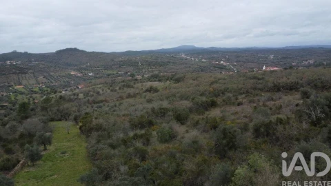 Terreno para Venda em Chãos