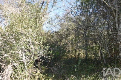 Terreno para Venda em Chãos
