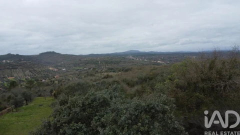 Terreno para Venda em Chãos