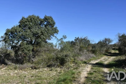 Terreno para Venda em Chãos