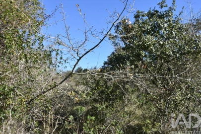 Terreno para Venda em Chãos
