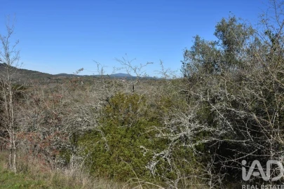 Terreno para Venda em Chãos