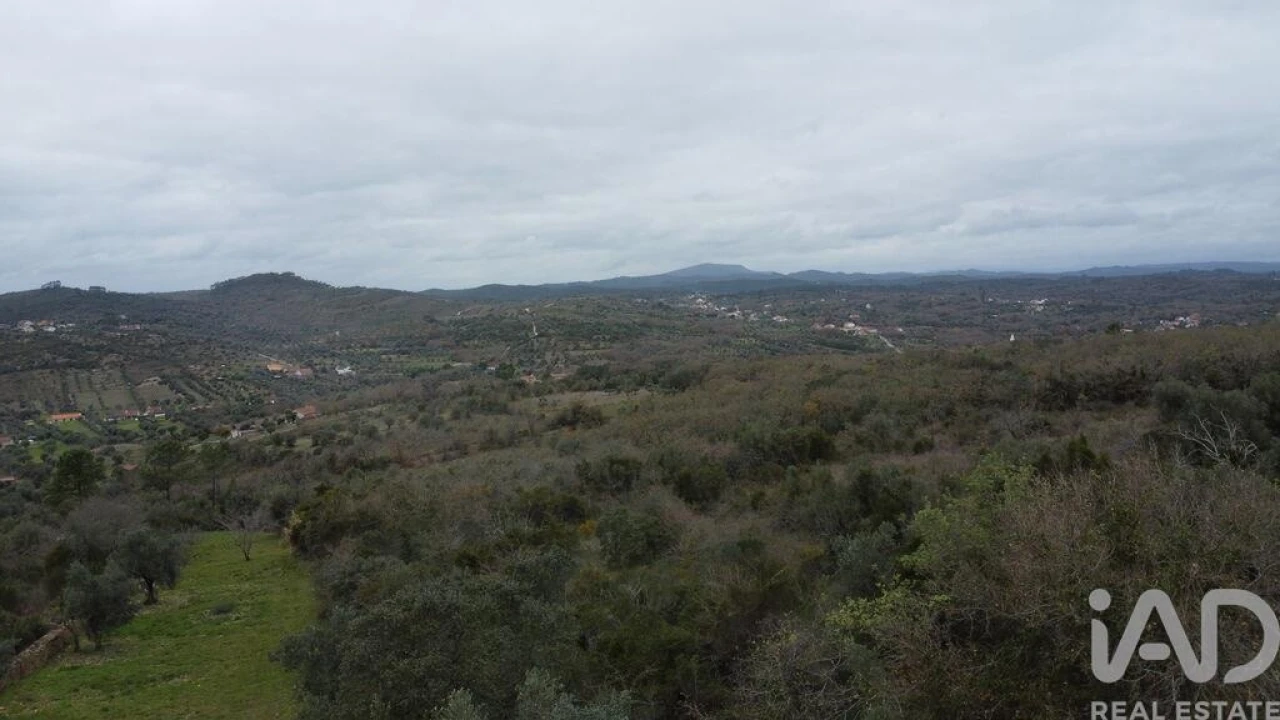 Terreno para Venda em Chãos Foto 14