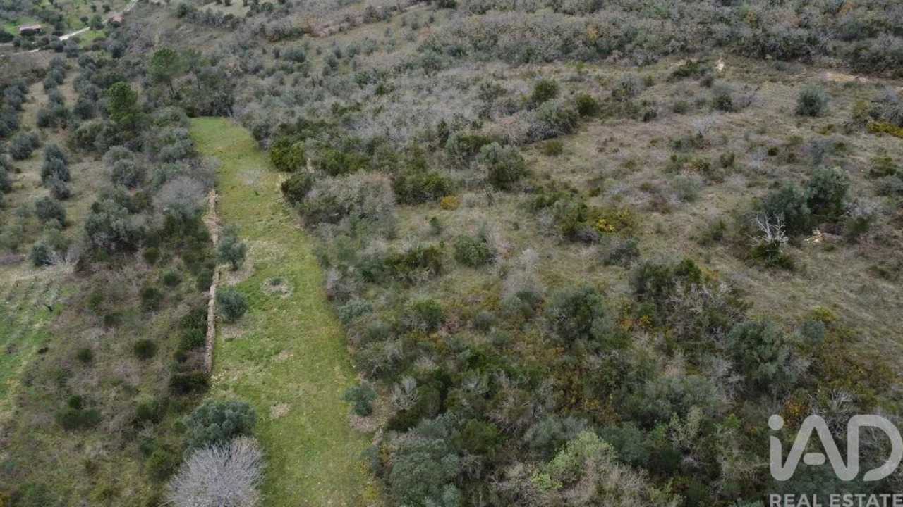Terreno para Venda em Chãos Foto 9