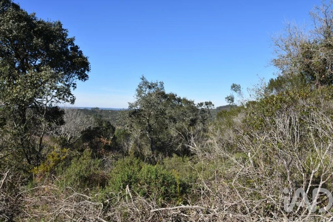 Terreno para Venda em Chãos Foto 19