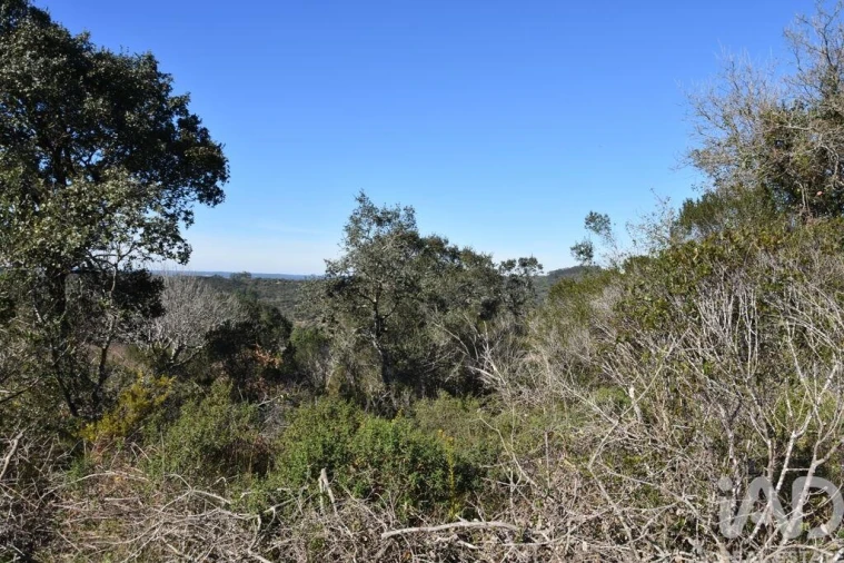 Terreno para Venda em Chãos Foto 19