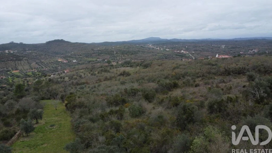 Terreno para Venda em Chãos Foto 13