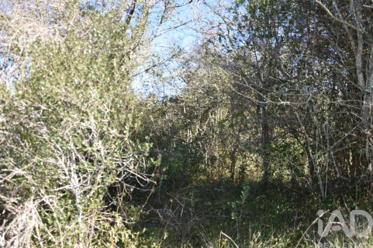 Terreno para Venda em Chãos Foto 25