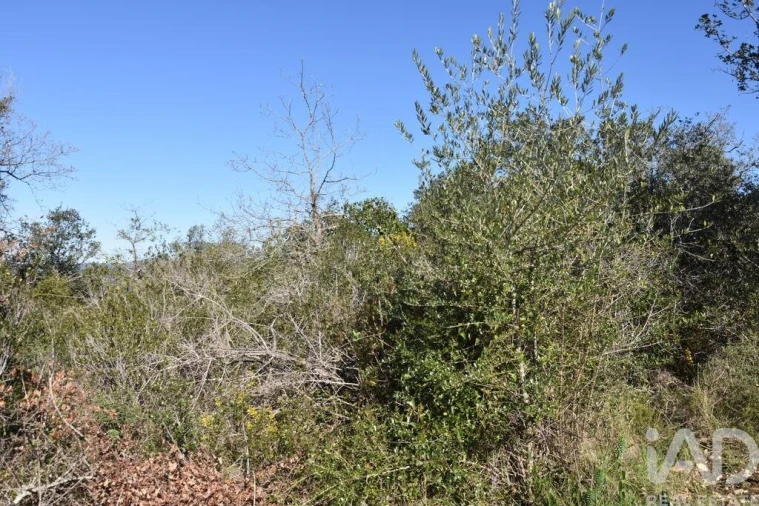 Terreno para Venda em Chãos Foto 18