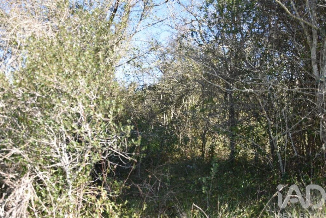 Terreno para Venda em Chãos Foto 25