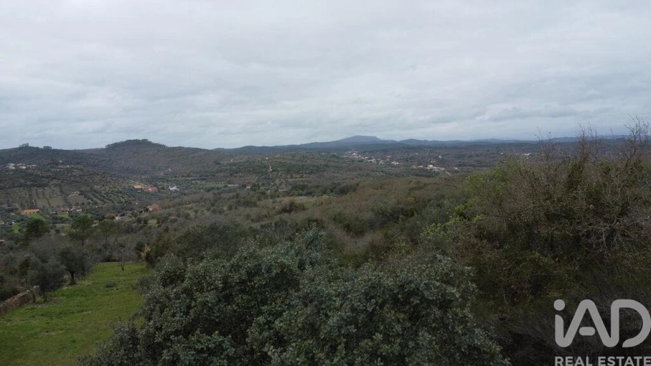 Terreno para Venda em Chãos Foto 15