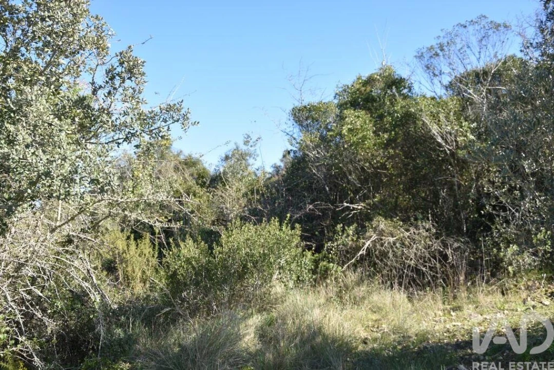 Terreno para Venda em Chãos Foto 27