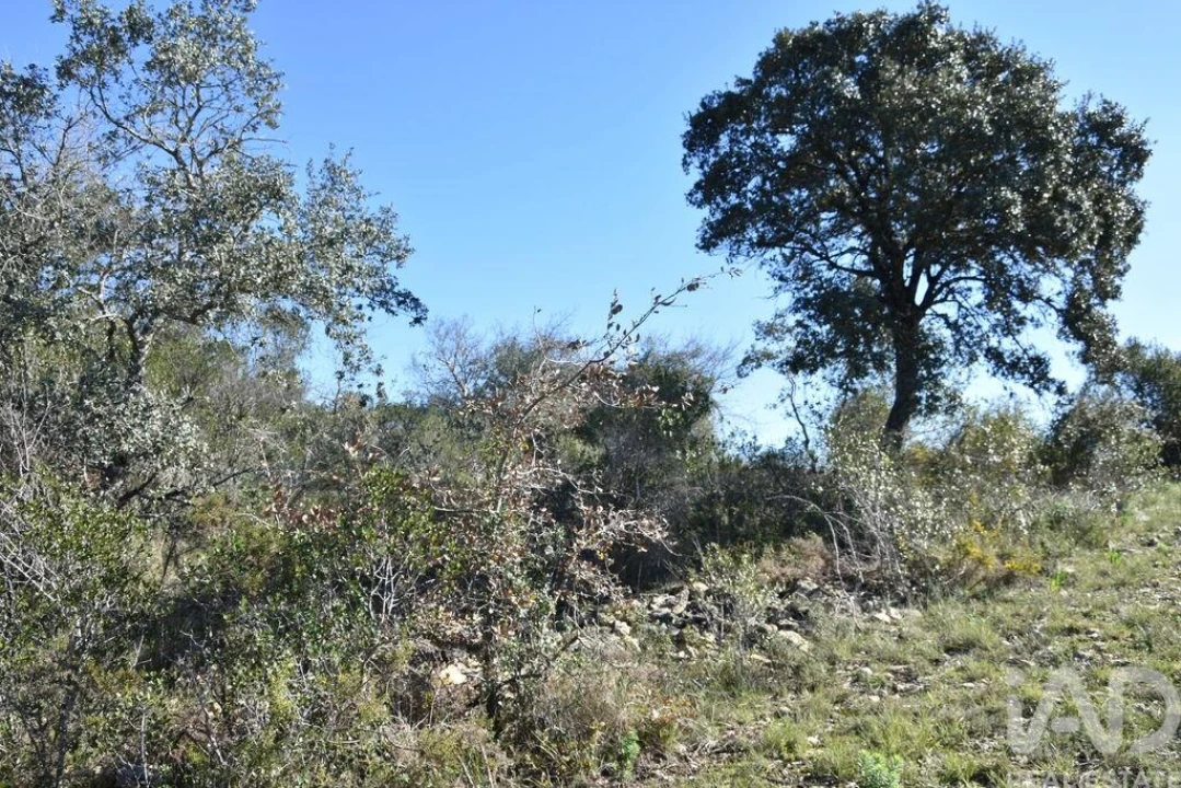 Terreno para Venda em Chãos Foto 4