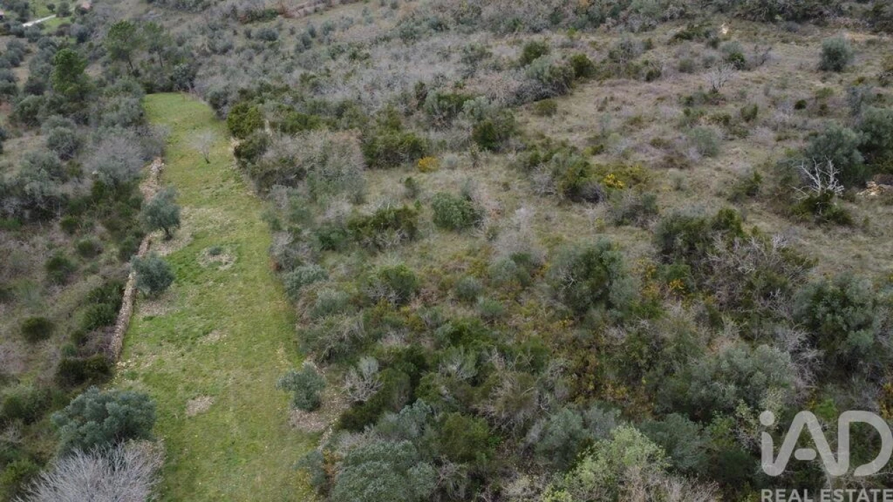 Terreno para Venda em Chãos Foto 11
