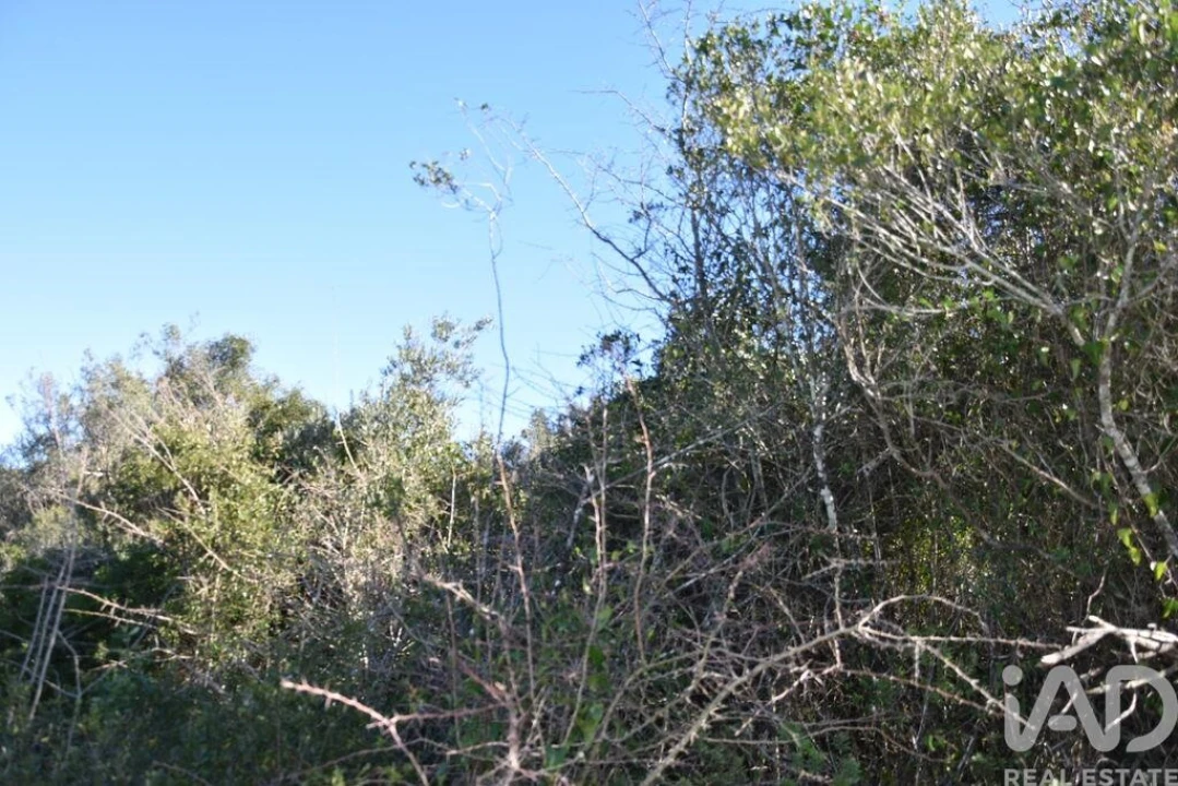 Terreno para Venda em Chãos Foto 21