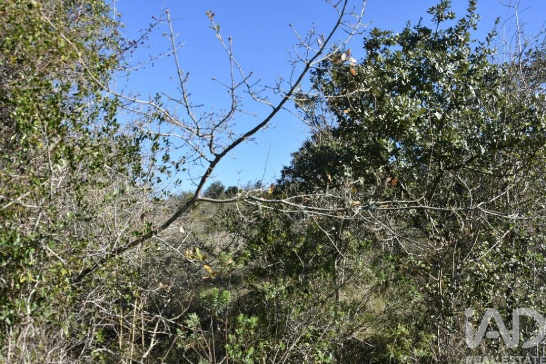 Terreno para Venda em Chãos Foto 26