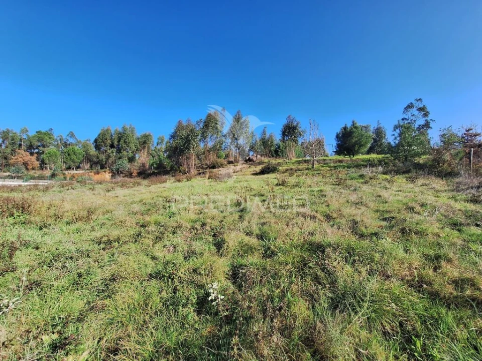 Terreno para Venda em Olaia e Paço Foto 5
