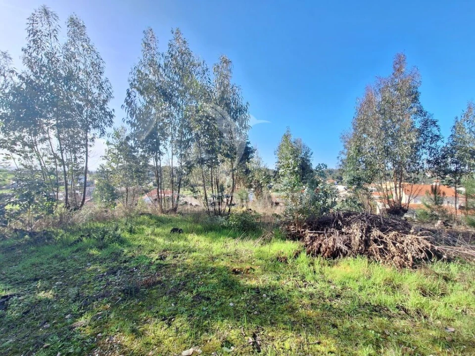 Terreno para Venda em Olaia e Paço Foto 14