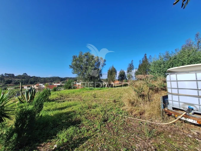 Terreno para Venda em Olaia e Paço Foto 13