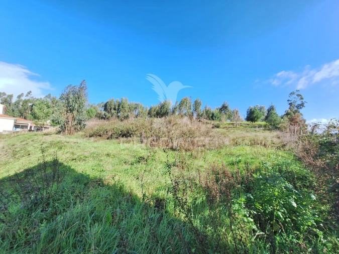 Terreno para Venda em Olaia e Paço Foto 7