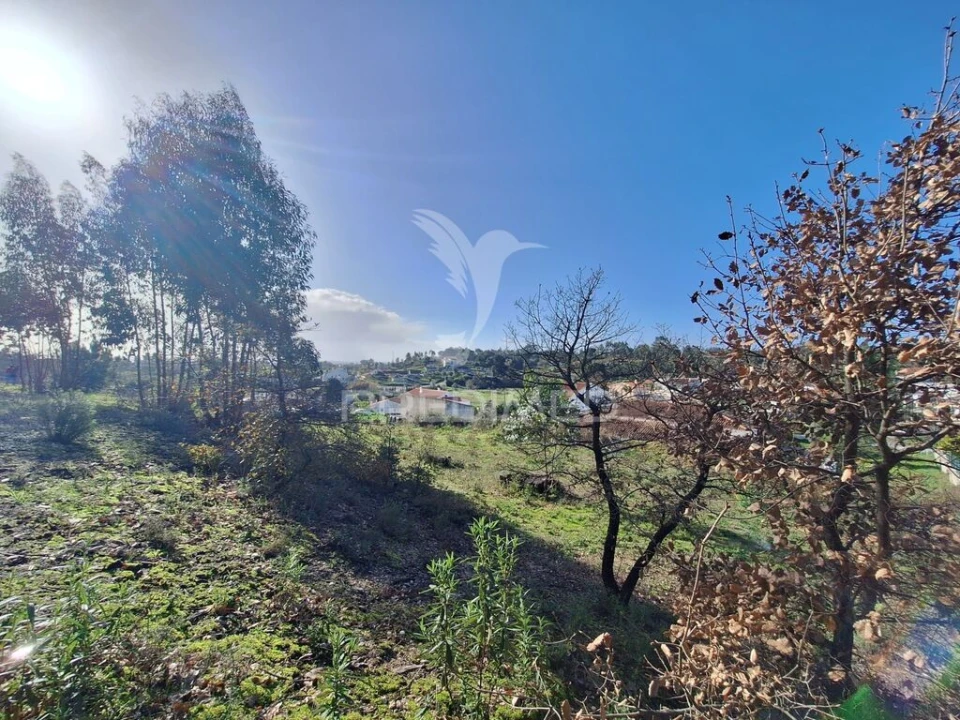 Terreno para Venda em Olaia e Paço Foto 10