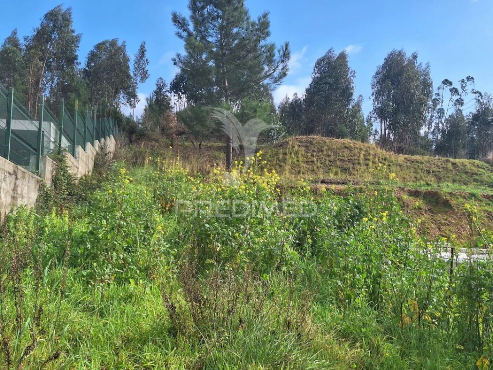 Terreno para Venda em Olaia e Paço Foto 3