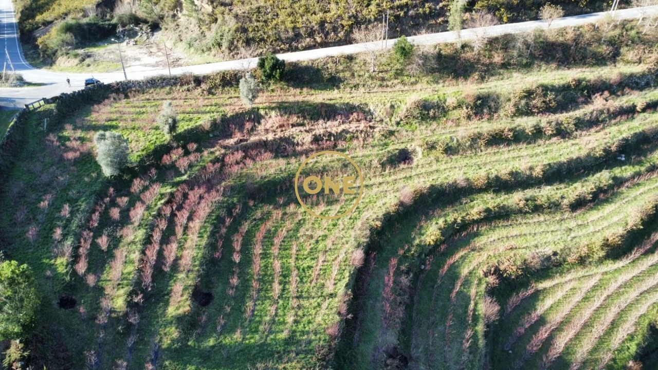 Terreno para Venda em Gondoriz Foto 8