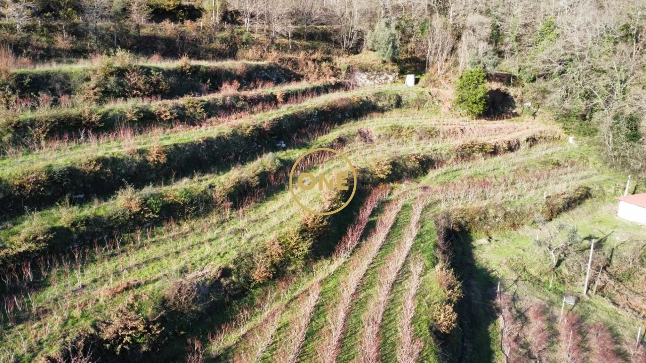 Terreno para Venda em Gondoriz Foto 16