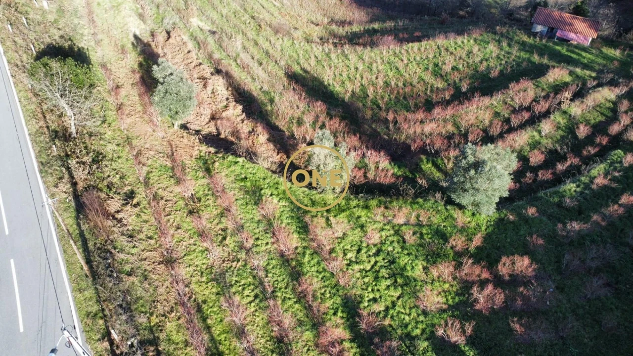 Terreno para Venda em Gondoriz Foto 19
