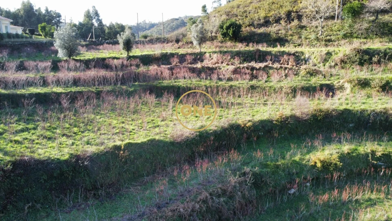 Terreno para Venda em Gondoriz Foto 14