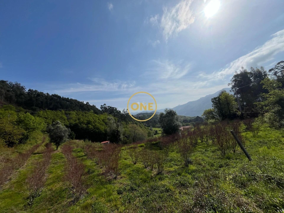 Terreno para Venda em Gondoriz Foto 3