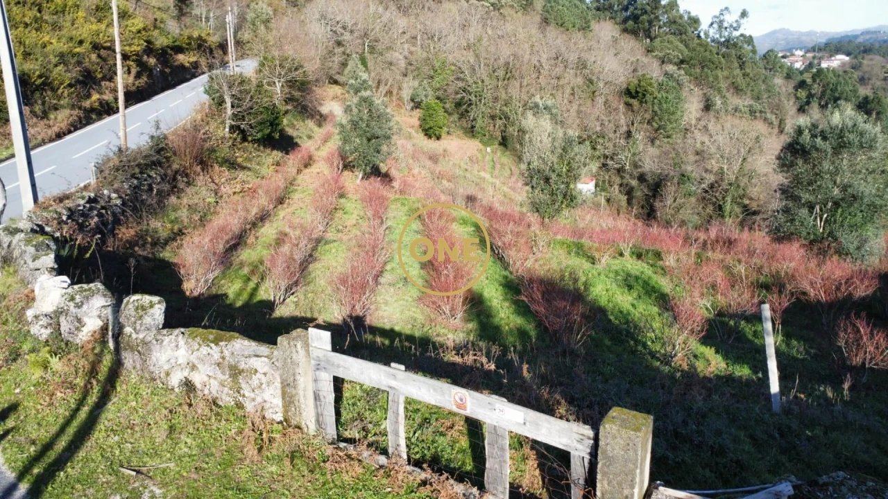 Terreno para Venda em Gondoriz Foto 15