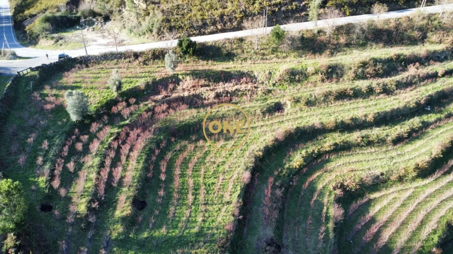 Terreno para Venda em Gondoriz Foto 8