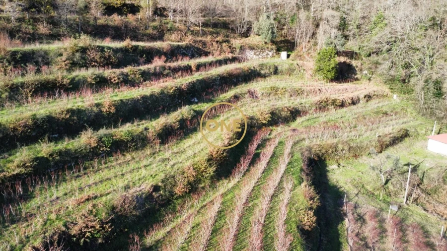 Terreno para Venda em Gondoriz Foto 16