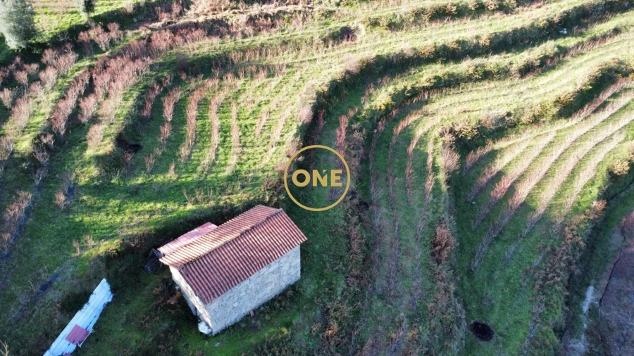 Terreno para Venda em Gondoriz Foto 5